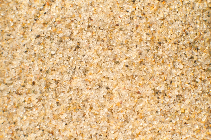 Nederland, Noord-Holland, Camperduin